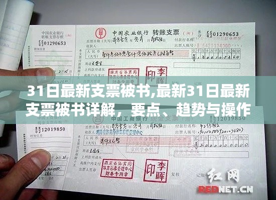 最新支票被书详解，要点、趋势与操作指南（31日更新版）