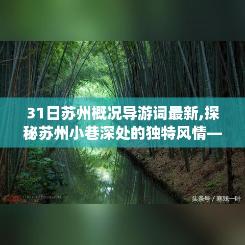 探秘苏州小巷深处的独特风情，揭秘隐藏版特色小店的神秘面纱（最新导游词）