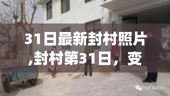 封村第31日，变化中的学习与自信成就感的绽放瞬间