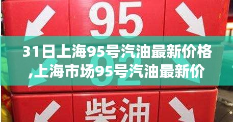 上海市场95号汽油最新价格动态及走势分析，多方观点碰撞与个人见解深度探讨