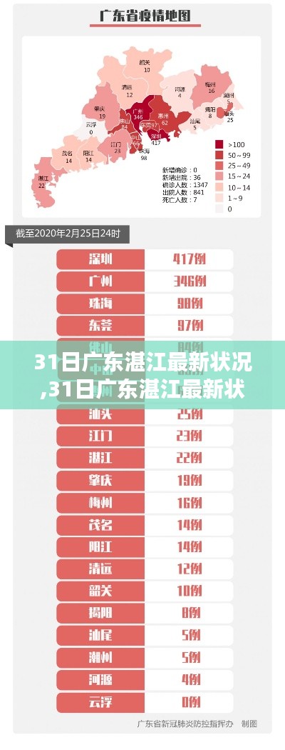 广东湛江最新状况解析，深度了解当地动态