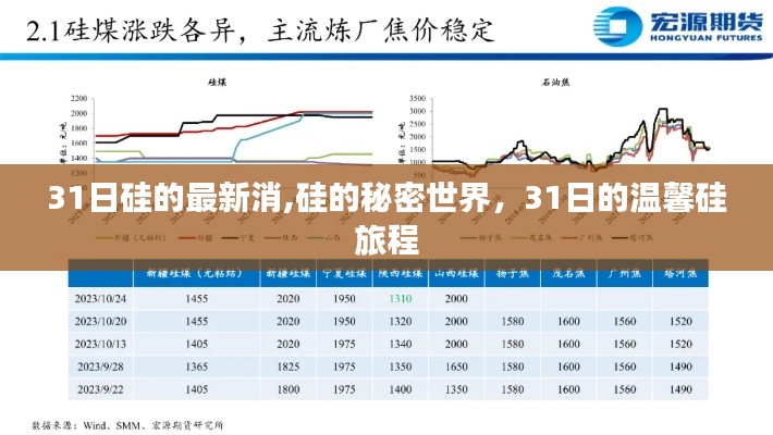 硅的秘密世界，探寻硅的秘密与温馨旅程的启示