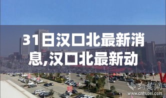 汉口北最新动态更新报告，最新消息与报告揭示汉口北发展进展