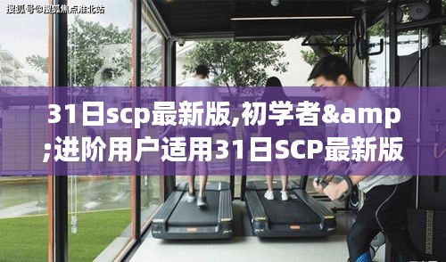 31日SCP最新版任务指南，从初学者到进阶用户的全面解析与技能学习