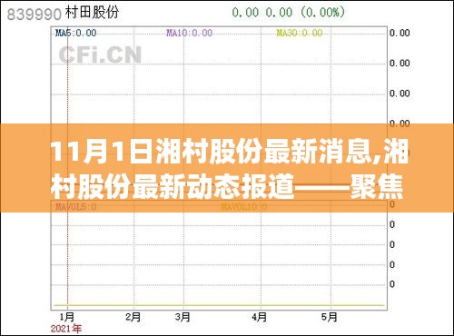 湘村股份最新动态报道，聚焦要闻，洞悉最新动态（11月1日更新）