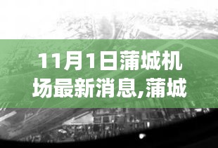 蒲城机场最新动态，11月1日的飞跃与影响分析