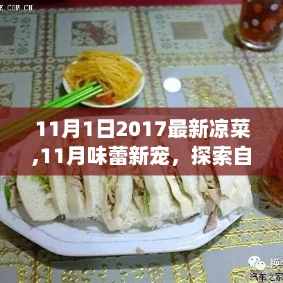 探索自然美景与美食之旅，最新凉菜唤醒味蕾与内心平静