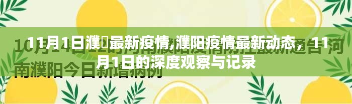 11月1日濮阳疫情最新动态与深度观察