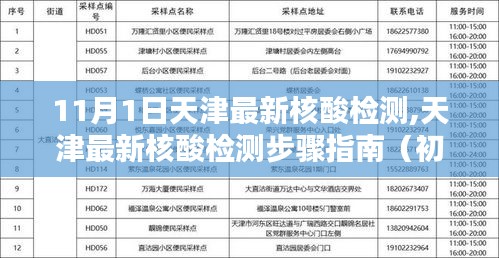 天津最新核酸检测步骤指南，从初学者到进阶用户的全方位指南（11月1日更新）