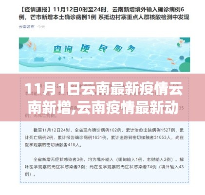 11月1日云南疫情最新动态，新增病例背后的故事