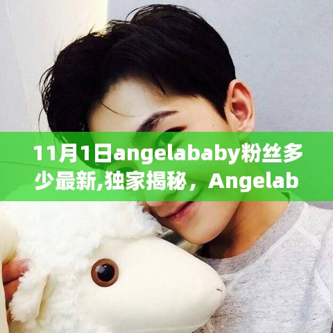 独家揭秘，Angelababy 11月1日粉丝数量最新动态，粉丝数大揭秘！