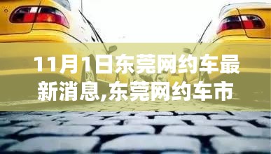 东莞网约车市场深度解析与用户体验报告，最新动态及11月1日更新消息