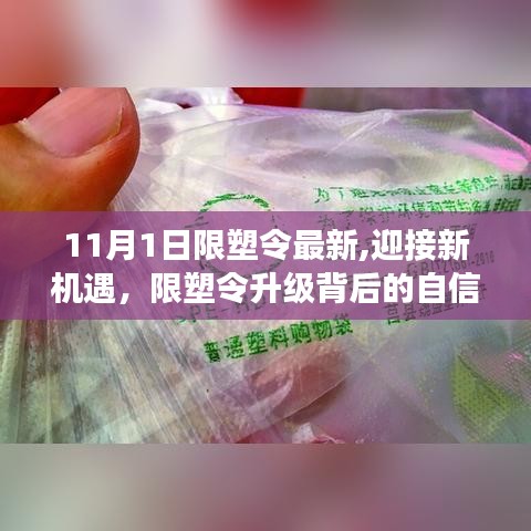 限塑令升级背后的自信与成就之旅，新机遇与挑战的迎接