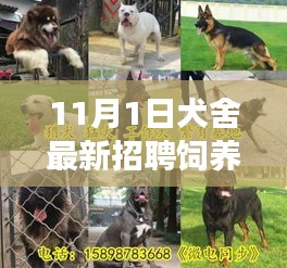 犬舍最新饲养员招聘启事，饲养员岗位全面解读与体验评测