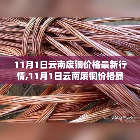 11月1日云南废铜价格最新动态，变化中的学习助力自信与辉煌