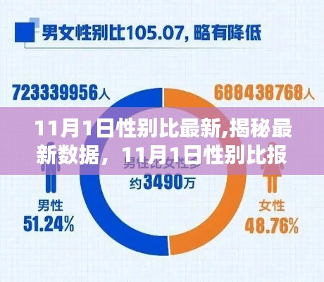 揭秘最新数据，深度解析11月1日性别比报告