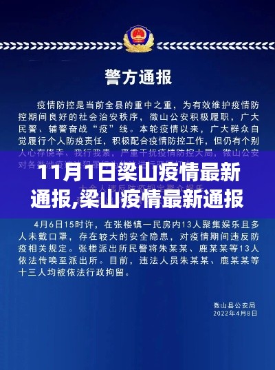 梁山疫情最新通报解读与应对策略，全面步骤指南（适用于初学者与进阶用户）