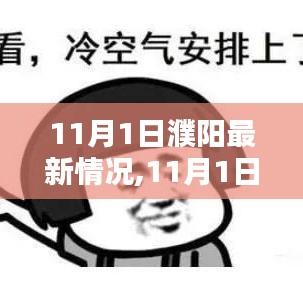 11月1日濮阳最新情况分析，现状与观点探讨