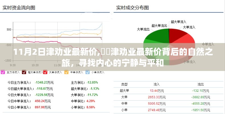 津劝业最新价背后的心灵之旅，探寻内心宁静与平和的奥秘