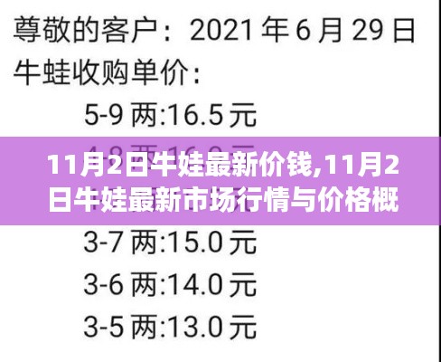 11月2日牛娃市场行情及最新价格概览