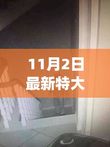 11月2日特大入室盗窃案揭秘，公众安全与防范意识亟待警醒