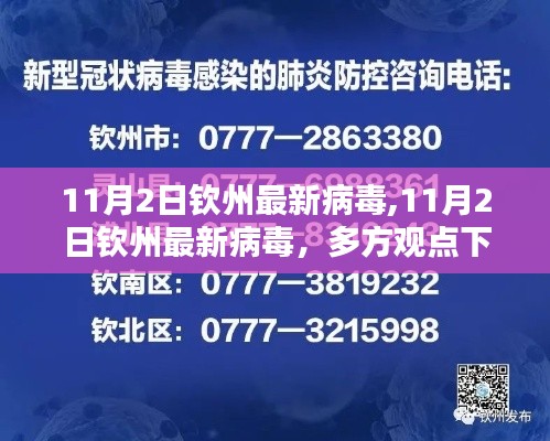 11月2日钦州最新病毒深度探讨与解析，多方观点下的疫情动态分析