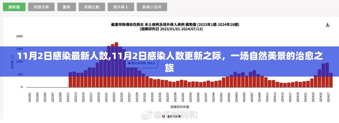 11月2日感染最新人数更新之际的自然美景治愈之旅