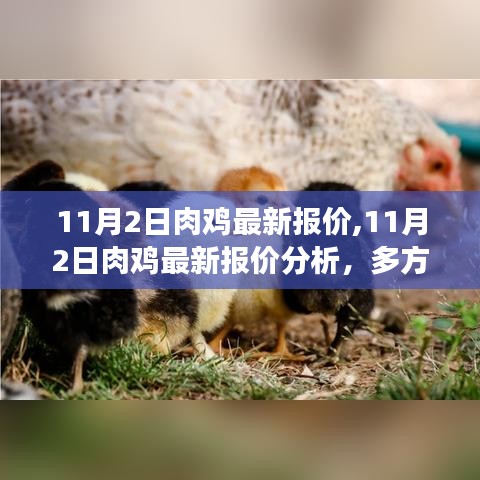 多方观点交织的思考，11月2日肉鸡最新报价及分析