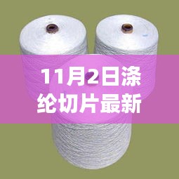 11月2日涤纶切片最新价格及市场趋势深度解析