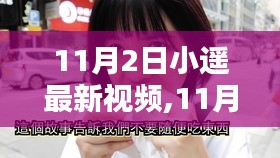 11月2日小遥最新视频评测与详解