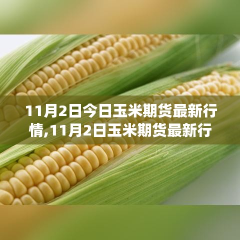 11月2日玉米期货最新行情解析及交易策略指南