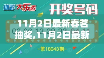 11月2日最新春茗抽奖活动深度解析，利弊与我的观点