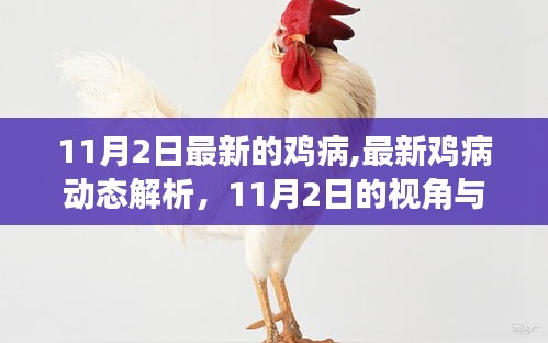 最新鸡病动态解析，11月2日视角与某某观点探讨