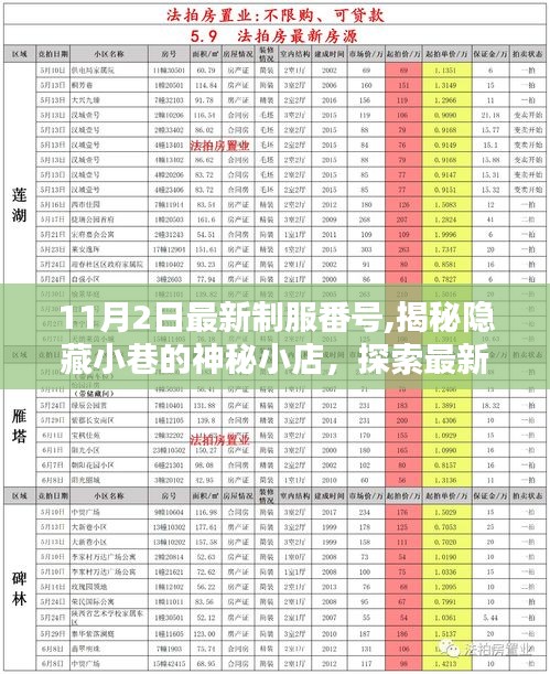 涉黄警示，11月2日神秘制服揭秘，揭示隐藏小巷中的非法色情秘密