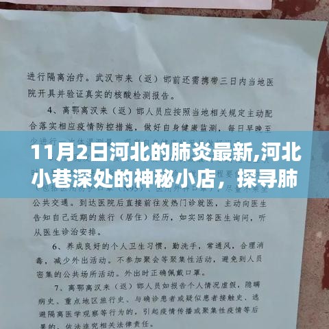 河北小巷深处的神秘小店，探寻疫情下的独特气息与美食故事（最新报道）