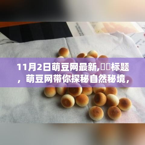 萌豆网带你启程探秘自然秘境，寻找内心的宁静与平和之旅（11月2日最新资讯）