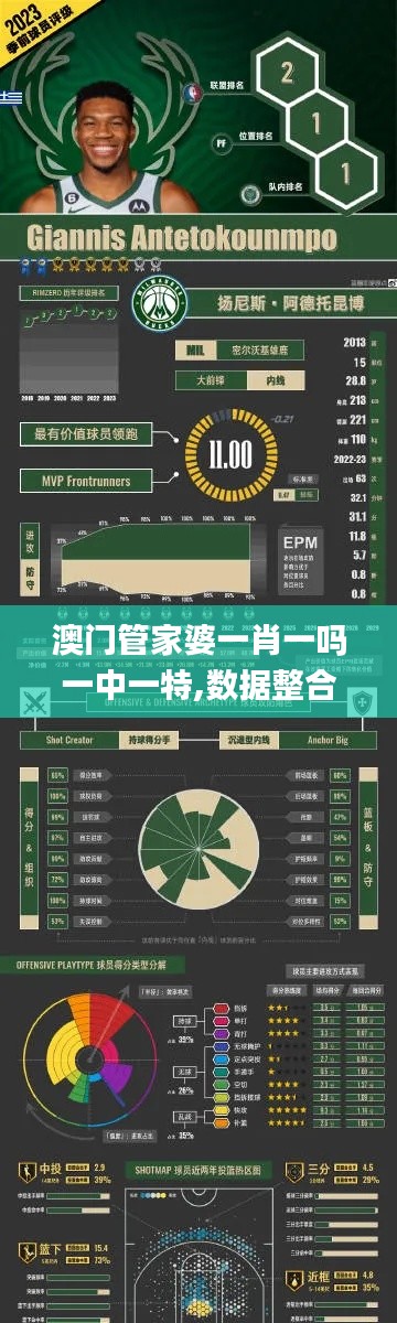 澳门管家婆一肖一吗一中一特,数据整合执行设计_19.01