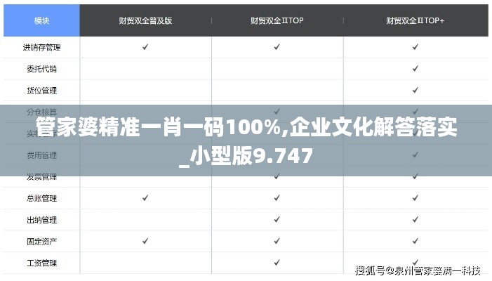 管家婆精准一肖一码100%,企业文化解答落实_小型版9.747