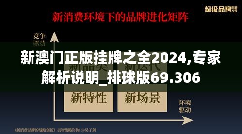 新澳门正版挂牌之全2024,专家解析说明_排球版69.306