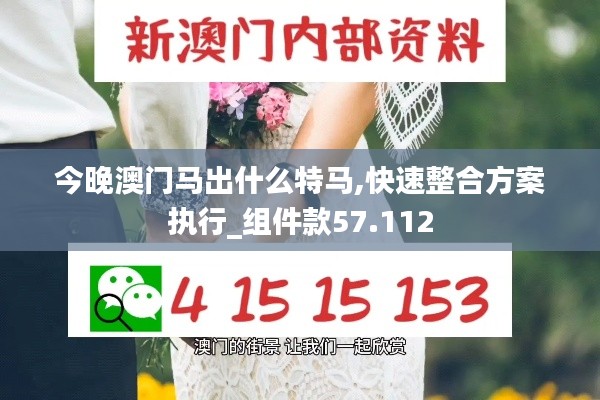 今晚澳门马出什么特马,快速整合方案执行_组件款57.112