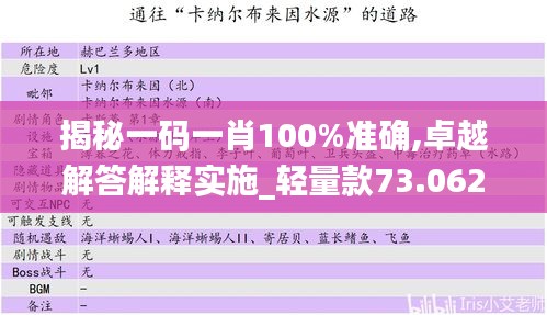 揭秘一码一肖100%准确,卓越解答解释实施_轻量款73.062