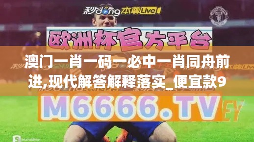 澳门一肖一码一必中一肖同舟前进,现代解答解释落实_便宜款97.664