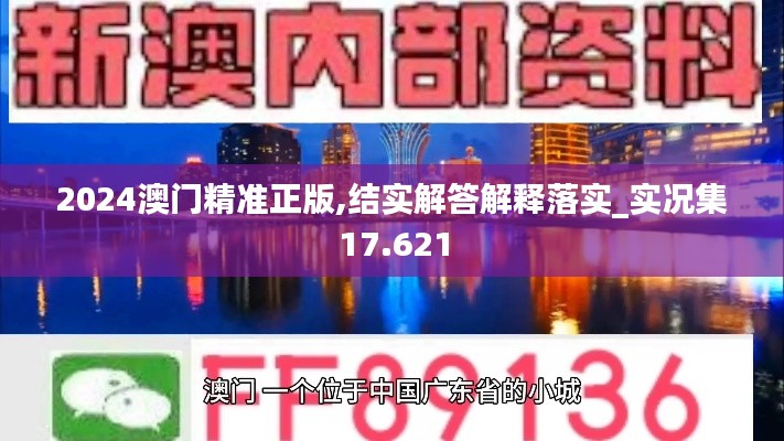 2024澳门精准正版,结实解答解释落实_实况集17.621