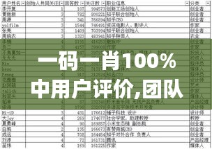 一码一肖100%中用户评价,团队解答解释落实_随意集3.256