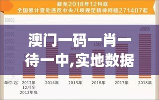 澳门一码一肖一待一中,实地数据解释定义_收藏集46.322