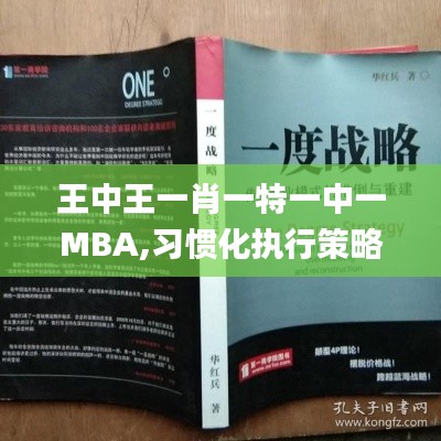 王中王一肖一特一中一MBA,习惯化执行策略规划_典藏版22.843