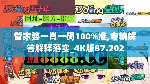 管家婆一肖一码100%准,专精解答解释落实_4K版87.202