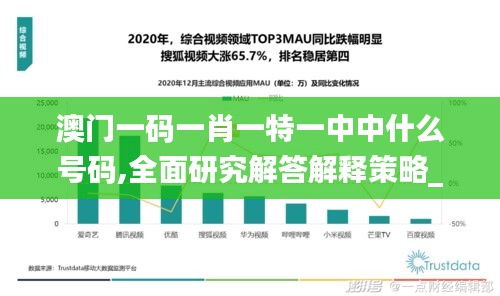 澳门一码一肖一特一中中什么号码,全面研究解答解释策略_组合版75.53