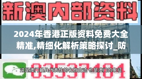 2024年香港正版资料免费大全精准,精细化解析策略探讨_防护集9.919