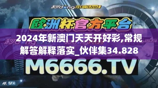 2024年新澳门天天开好彩,常规解答解释落实_伙伴集34.828